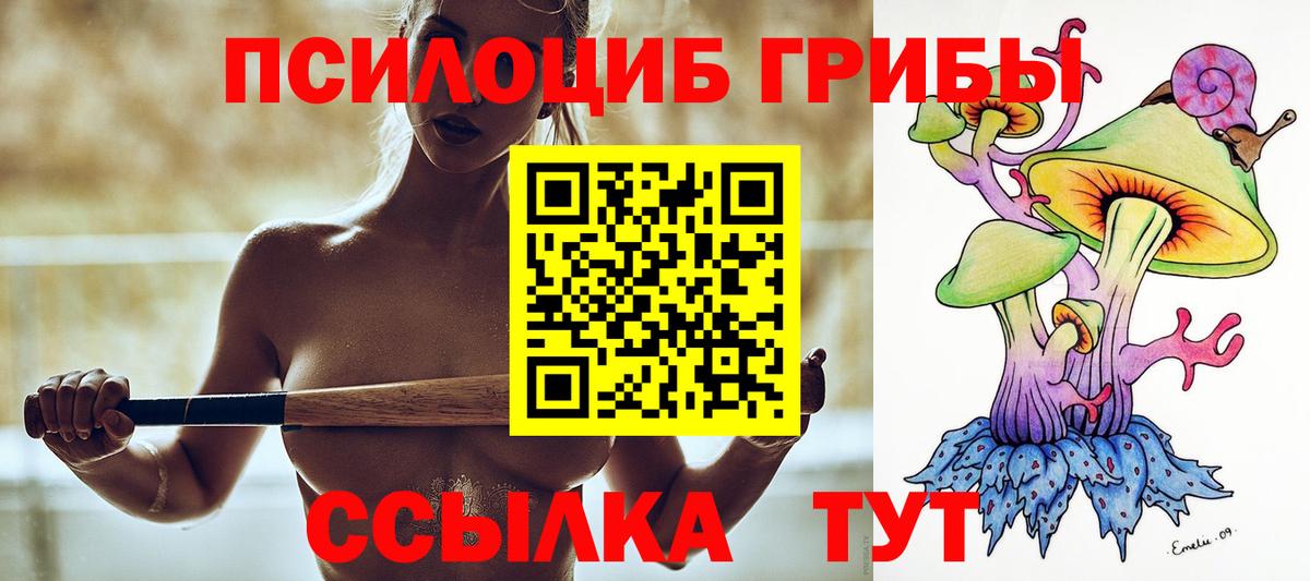 Видное  Псилоцибиновые грибы GOLDEN TEACHER  Галлюциногенные грибы Magic Shrooms  Вход с VPN 