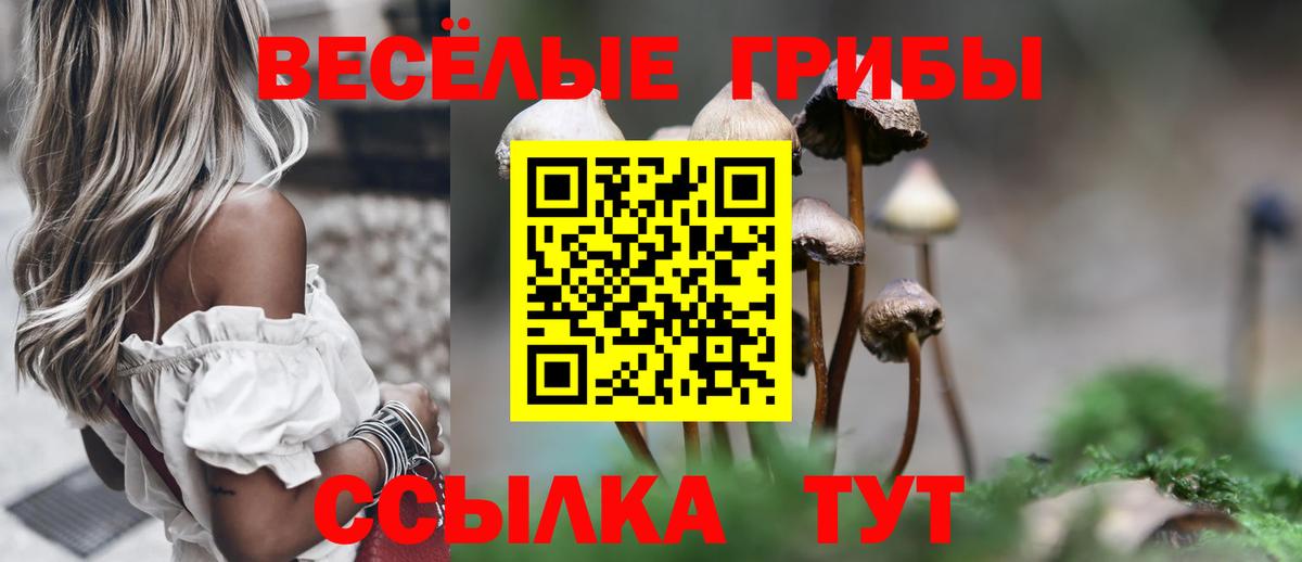 Галлюциногенные грибы прущие грибы Видное