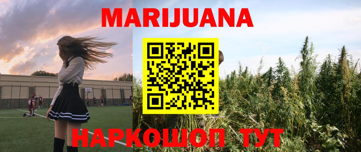 Конопля планчик Видное